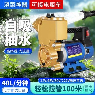 220v浇菜神器浇水机农用灌溉12V48V大功率家用菜地自吸水泵抽水机