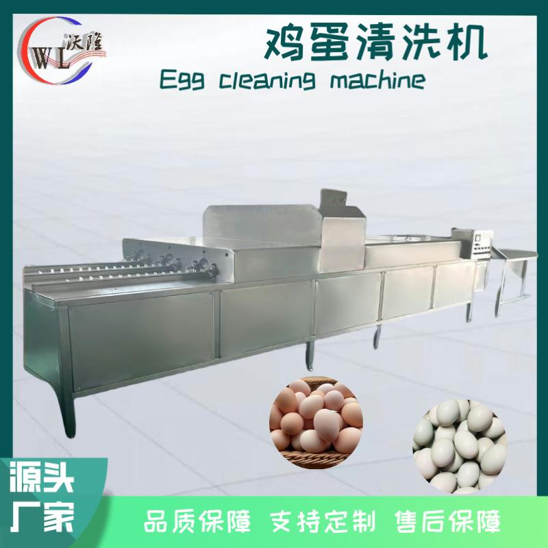 泥包蛋去泥洗蛋机养殖场鸡蛋清洗光检喷油机全自动无菌蛋洗蛋机