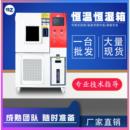 东莞厂家可编程高低温试验箱恒温恒湿交变湿热试验机恒温恒湿箱
