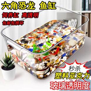 六角恐龙鱼的鱼缸专用蝾螈饲养缸美西小乌龟饲养箱宠物盒锦鲤用品