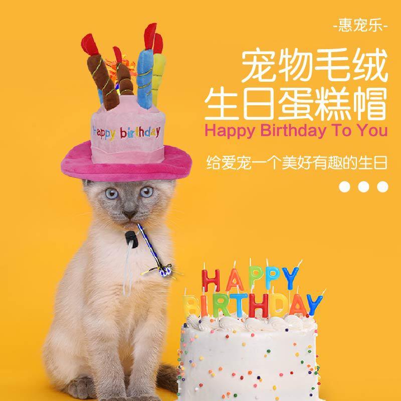 宠物生日帽子玩具 猫咪狗狗新年礼物玩具亚马逊爆款新款