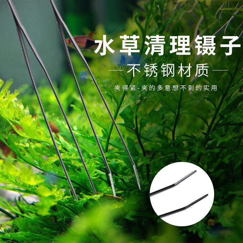 碳化水草清理镊子 水族箱工具   园艺造景长镊子厂家刮藻刀