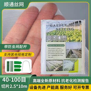 跨境植物保护网蔬菜果树果园农用防虫网罩纱网大棚专用种菜60目