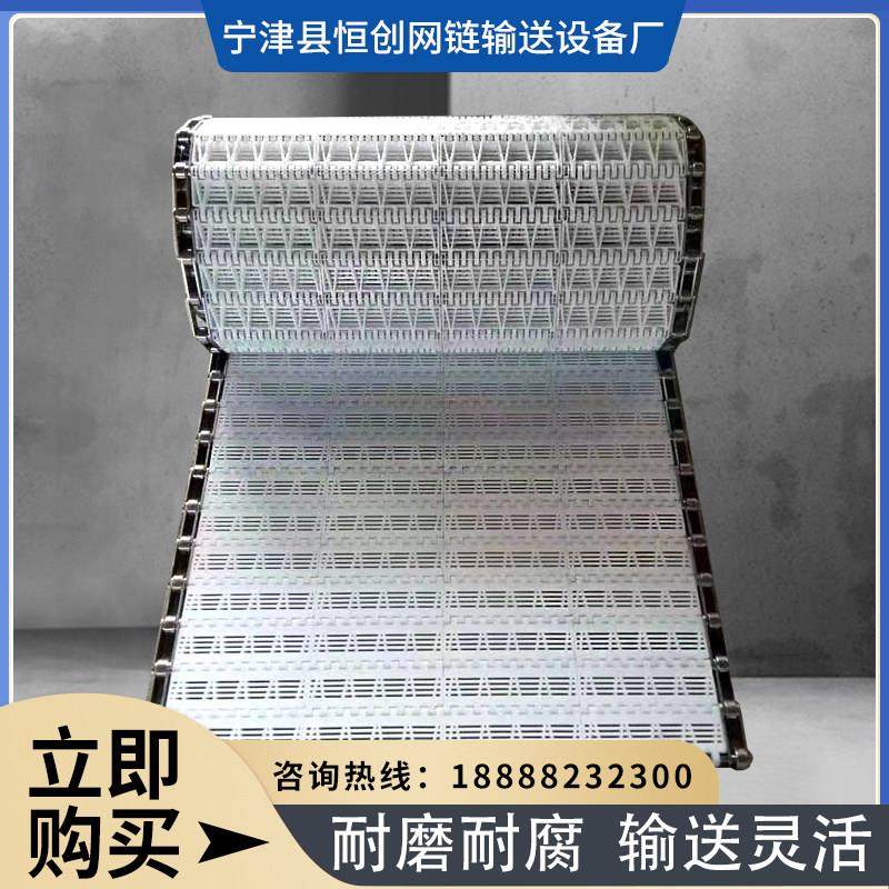 PP塑料网带传送带瓜果蔬菜清洗烘干流水线POM食品级塑料传动带,五金/工具,传动带,淘宝优惠券,粉丝福利购,淘宝优惠卷