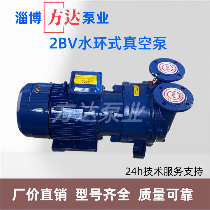 2bv水环式真空泵工业用抽气泵高真空循环水负压泵压缩机耐腐蚀