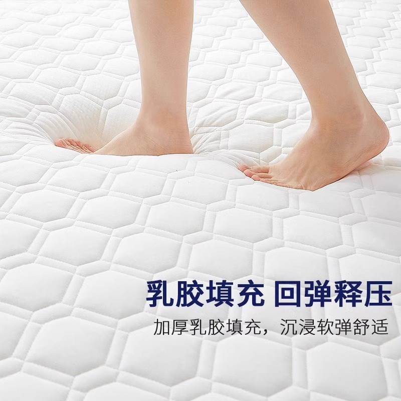 乳胶床垫租房专用记忆棉软垫海绵褥子出租屋1米5x2米加厚1.2垫子图片