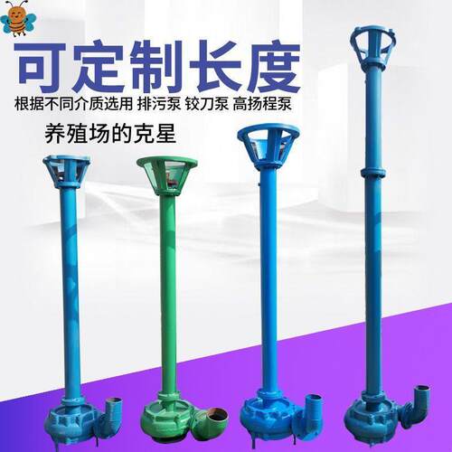 铸铁排污泵带电机 高压泥浆泵抽粪泵 多尺寸污水泵