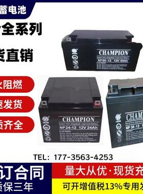 冠军蓄电池NP100-12 12V7AH17AH24AH38AH65AH120AH150AH200AH消防