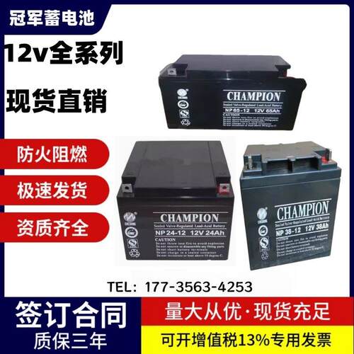 冠军蓄电池NP100-12 12V7AH17AH24AH38AH65AH120AH150AH200AH消防