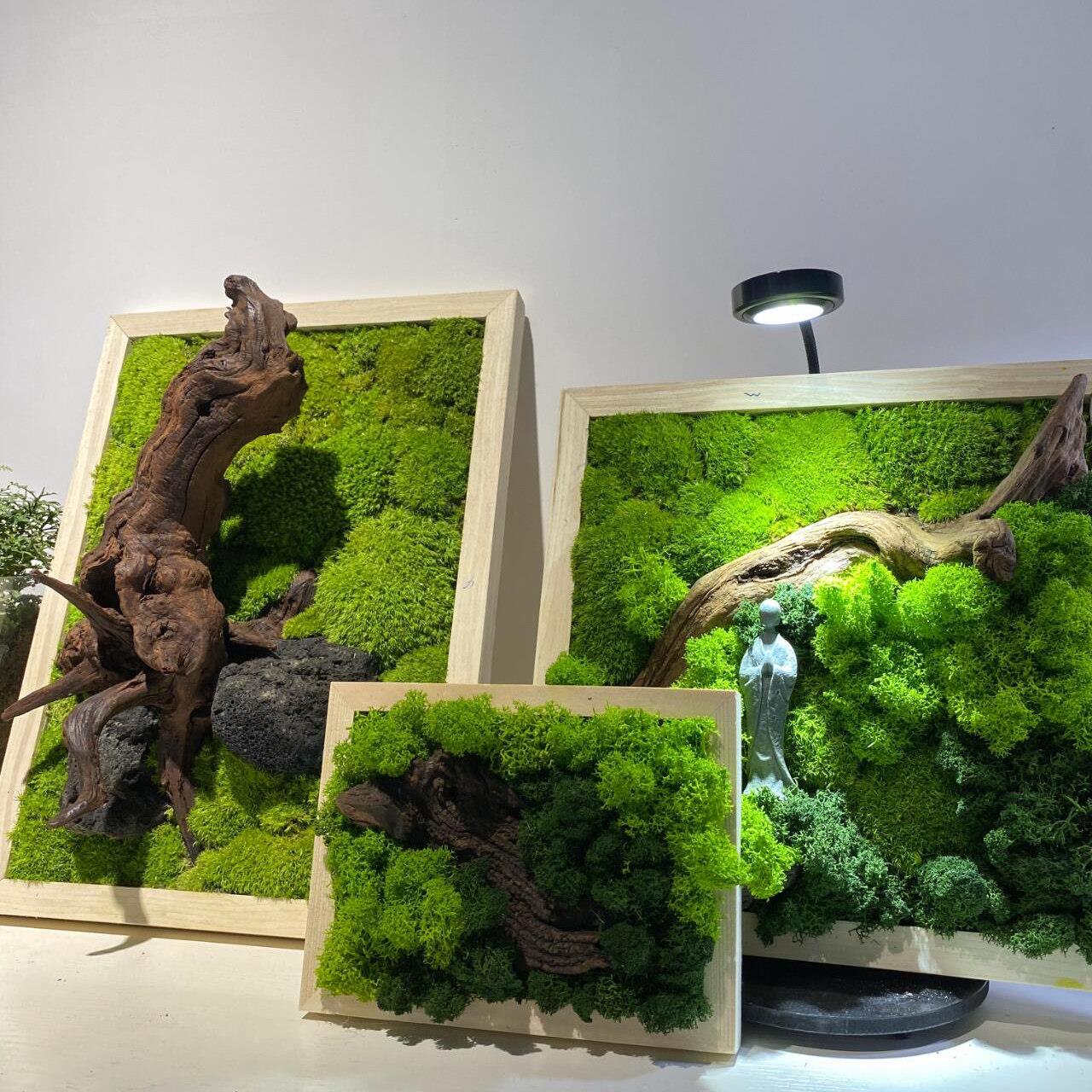 永生苔藓画植物墙假青苔彷真绿苔装饰背景墙壁挂遮丑白发藓装饰画