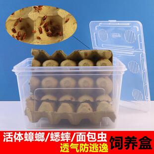 活体蟑螂饲养盒爬虫箱杜比亚樱桃蟑螂捕鸟蛛蟋蟀面包虫爬宠养殖箱