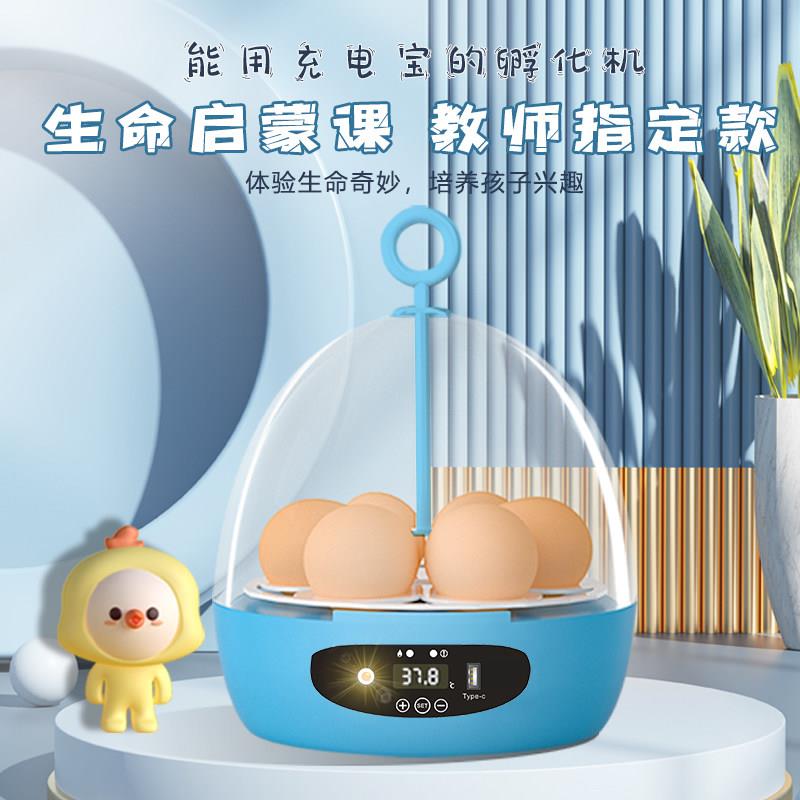 【科教款】全自动孵化机鸡鸭鸽鸟蛋家用小型孵蛋器芦丁鸡幼儿专用