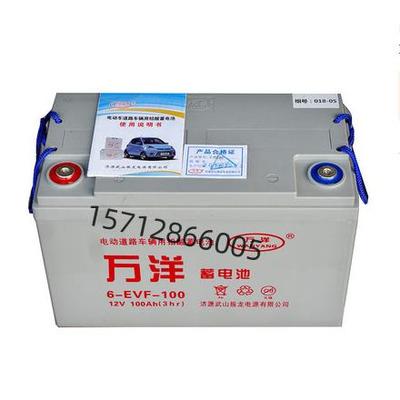 万洋蓄电池6-EVF-100 3EVF200 EV75 6EVF135 12V120 DF-112 71.8