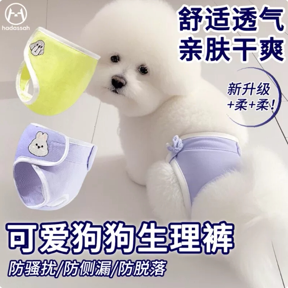 宠物生理裤防骚扰通用裤