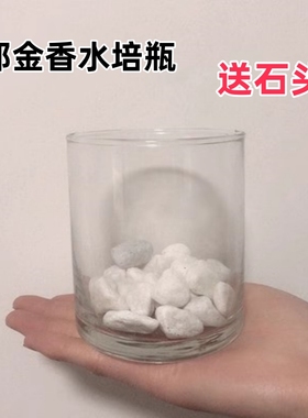 郁金香水培器皿玻璃瓶方缸瓶水养圆柱瓶大号透明圆筒鹅卵石头瓶子