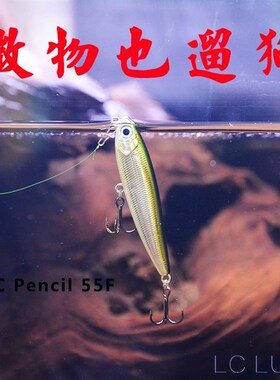 热销LC路亚微物小铅笔浮水55F迷你之字狗水面系马口硬饵翘嘴假饵3