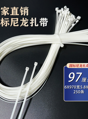 6*970尼龙塑料扎带强力束线带绳自锁式扎线带捆绑带长97cm250条长