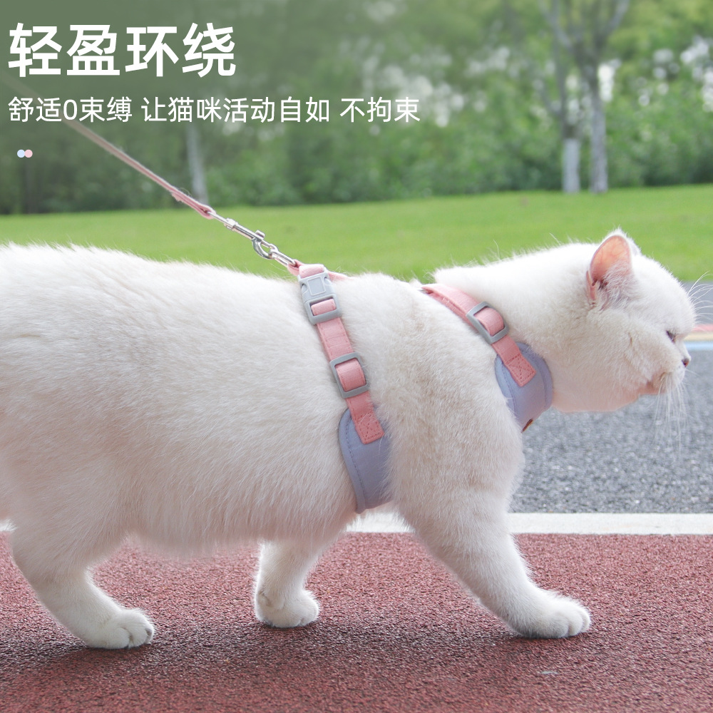 猫咪牵引绳防挣脱遛猫绳英短背心式猫链子小奶猫绳工字型耐用伸缩