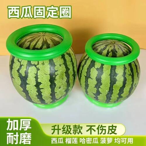 西瓜固定圈西瓜垫圈托架水果店
