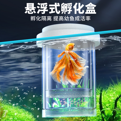 孔雀鱼繁殖盒鱼缸内热带鱼小型鱼幼鱼孵化鱼产房悬浮式漂浮隔离盒