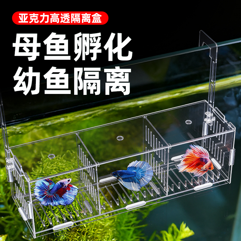 鱼缸隔离盒亚克力孔雀鱼隔离繁殖盒斗鱼观赏鱼母鱼产卵鱼苗孵化盒
