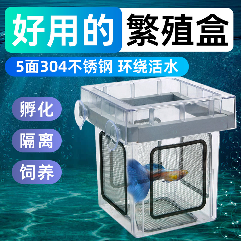 沃韦朗孔雀鱼繁殖盒鱼缸亚克力小鱼苗隔离防跳产卵房育苗箱饲养盒