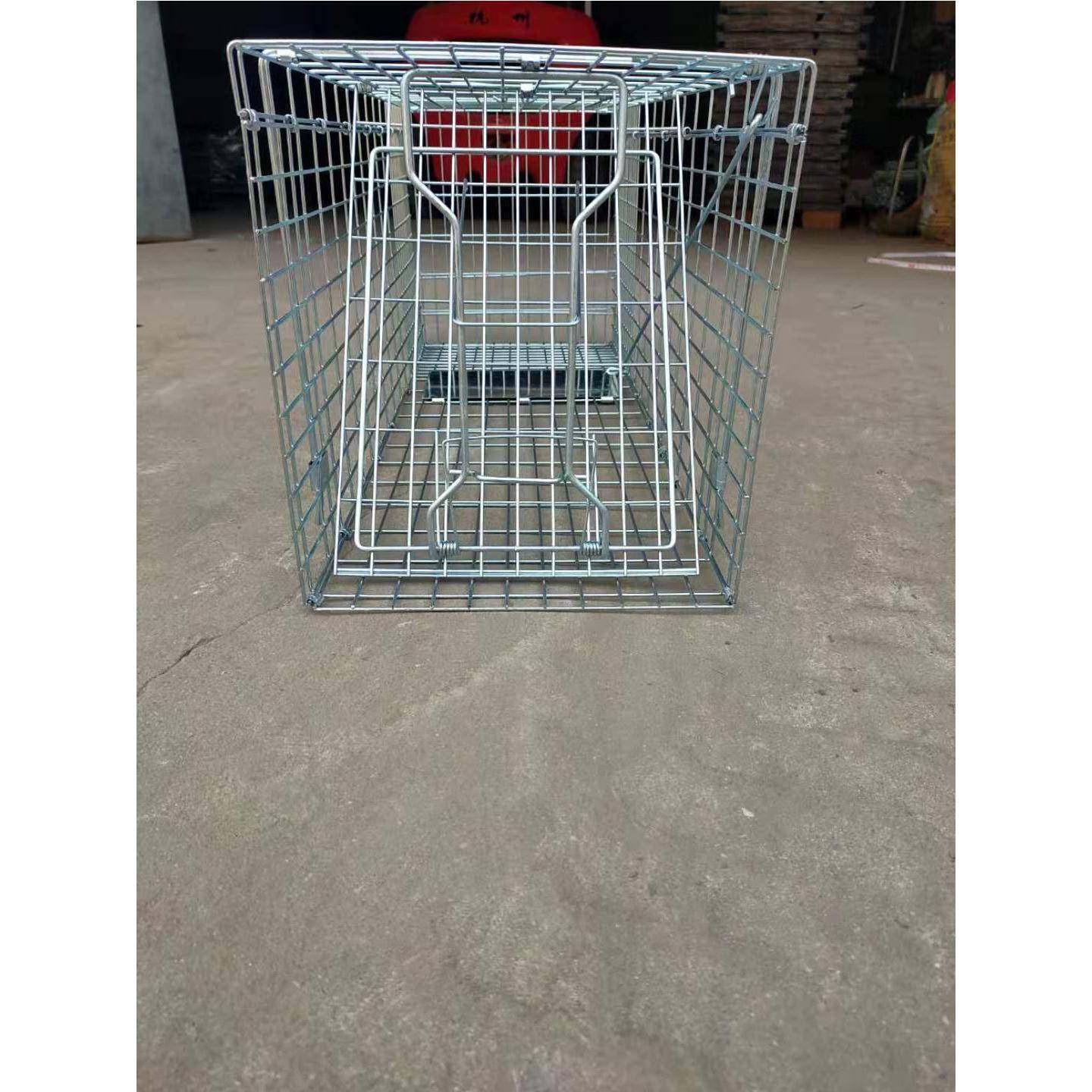 人道捕捉笼踏板式供应捕猫笼折叠捕鼠笼子抓鼠笼救助野猫笼