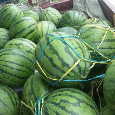 鹏成编织袋手提西瓜网兜尼龙草西瓜绳手工编织小号10斤西瓜袋