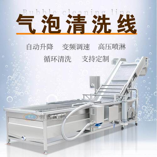 大型自动提升式气泡清洗机多功能鱼类清洗机蔬菜海鲜清洗设备