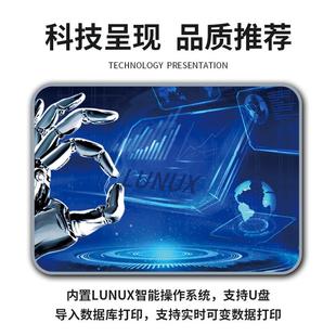 机 智能全自动流水线生产日期批号文本纸箱塑料袋瓶盖口罩在线喷码