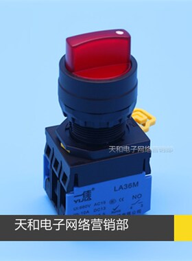 一佳 LA36M-10XD/21 黄绿红色2档3档 带灯旋钮 电源选择开关 22mm