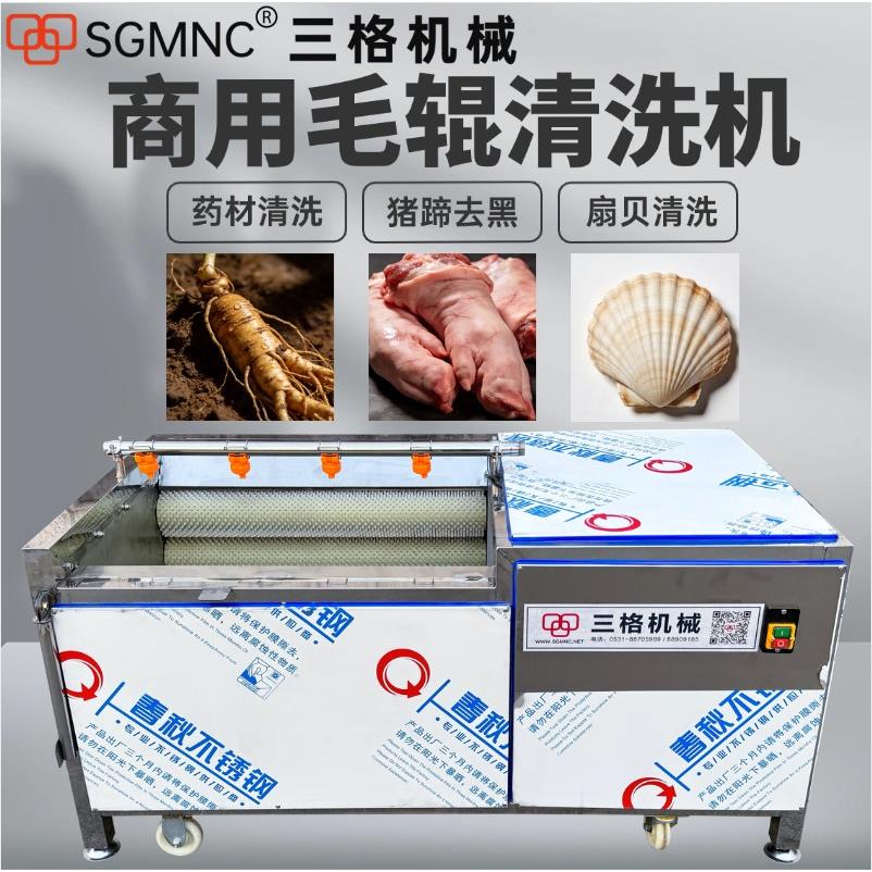 全自动商用毛辊清洗机洗菜机大型果蔬红薯萝卜土豆软硬毛刷去皮机