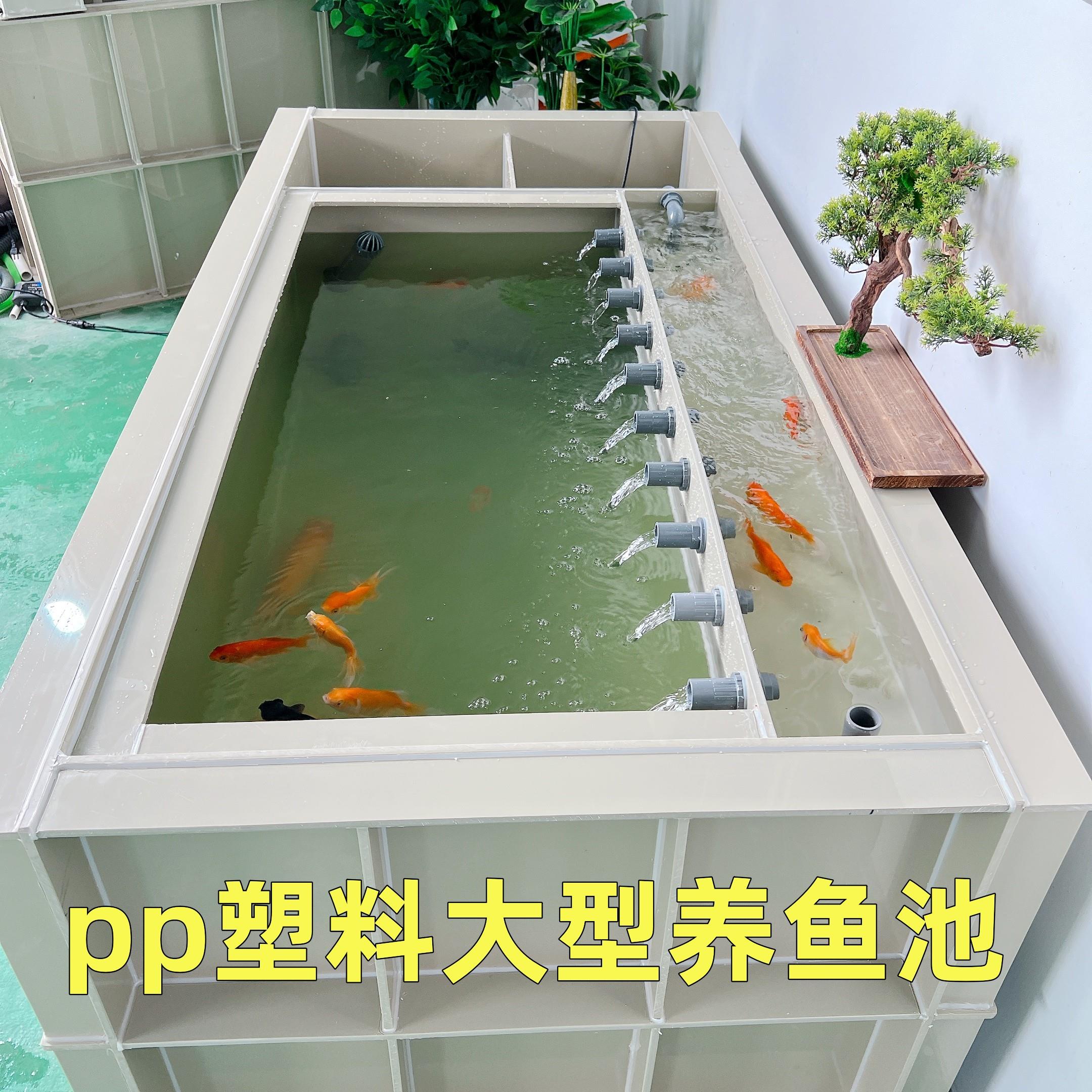 别墅院子阳台家大型升级版侧过滤鱼缸鱼池加Pp塑料金鱼锦鲤鱼盒