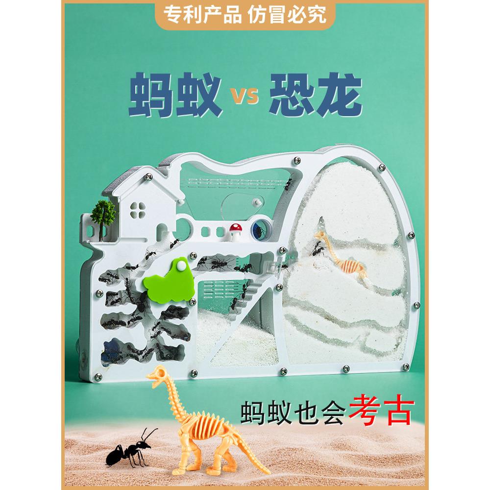 恐龙观察蚂蚁盒子屋宠物工坊城堡生态箱沙巢家园繁殖版活体送蚁后