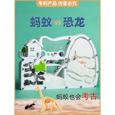 恐龙观察蚂蚁盒子屋宠物工坊城堡生态箱沙巢家园繁殖版活体送蚁后