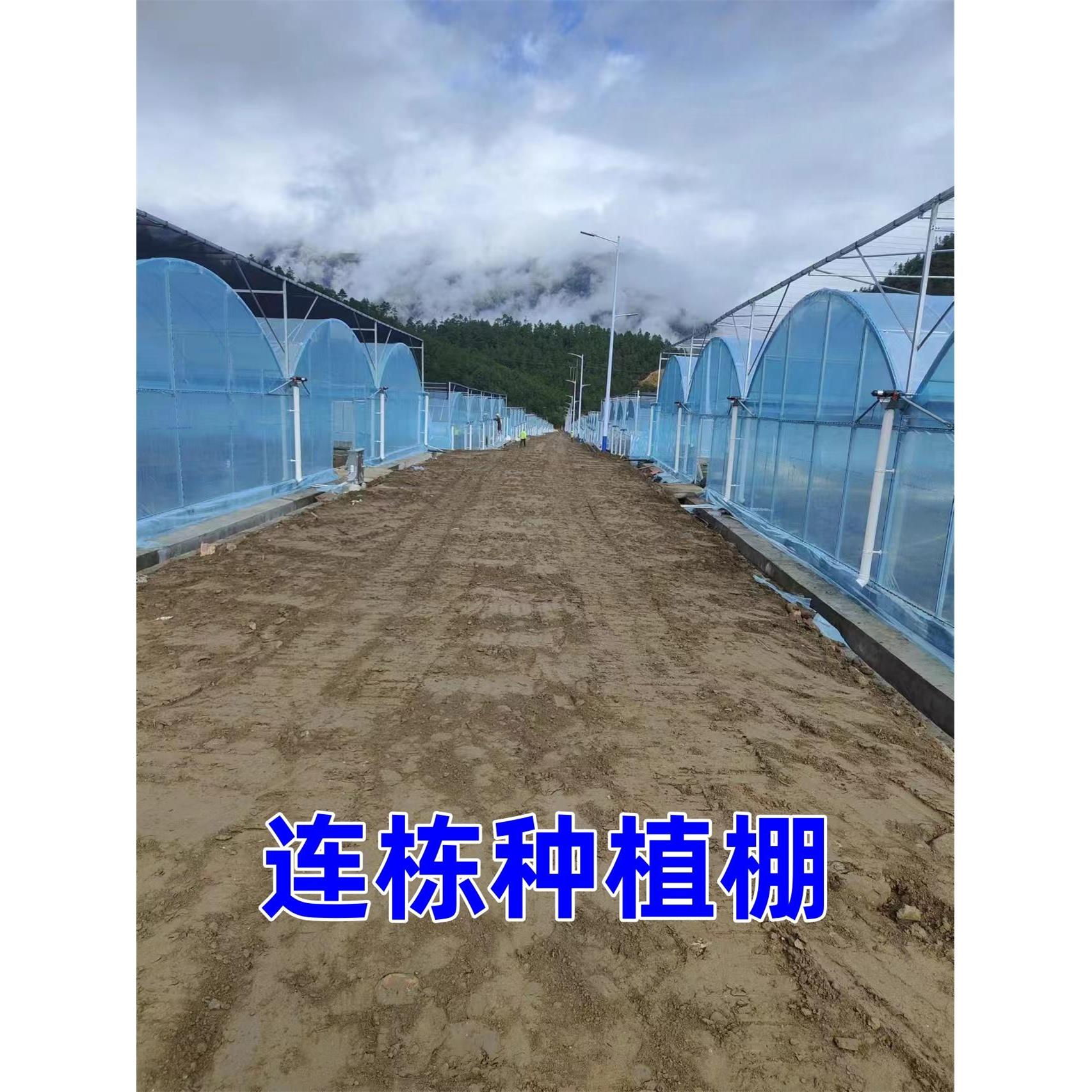 温室大棚镀锌钢管骨架支架拱杆西瓜棚简易冷棚全套蔬菜种植大棚