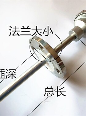 WZP-430/431法兰式热电阻四氟PT100热电阻DN25法兰测温探头热电偶