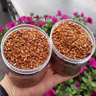 新货山核桃碎仁罐装临安酥脆坚果烘培休闲零核桃碎奶茶店点缀无壳