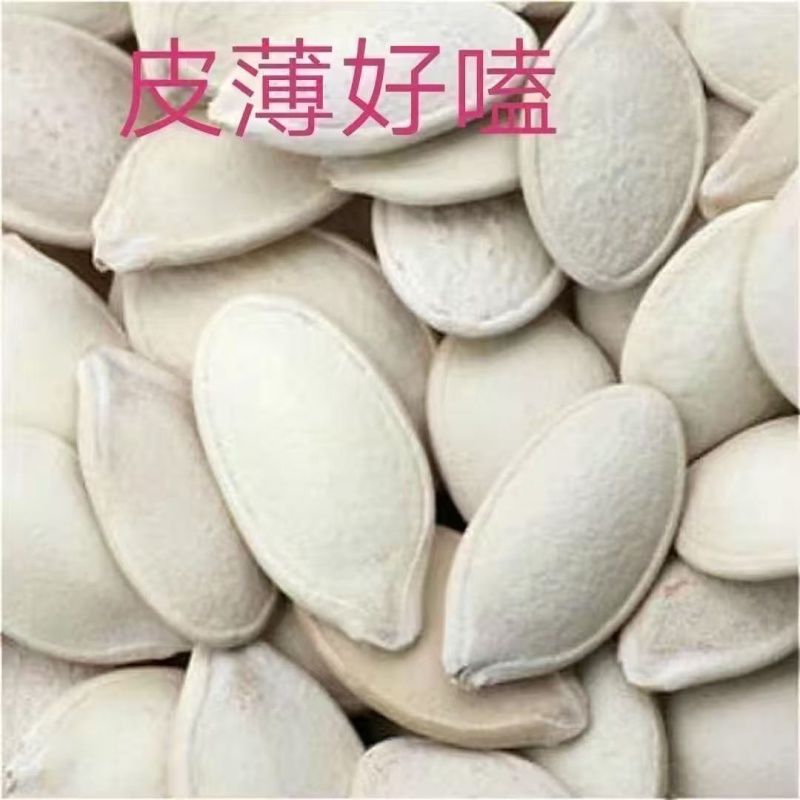 特级大白南瓜子五香味特大颗粒南瓜子袋装瓜子干果零食批发原味