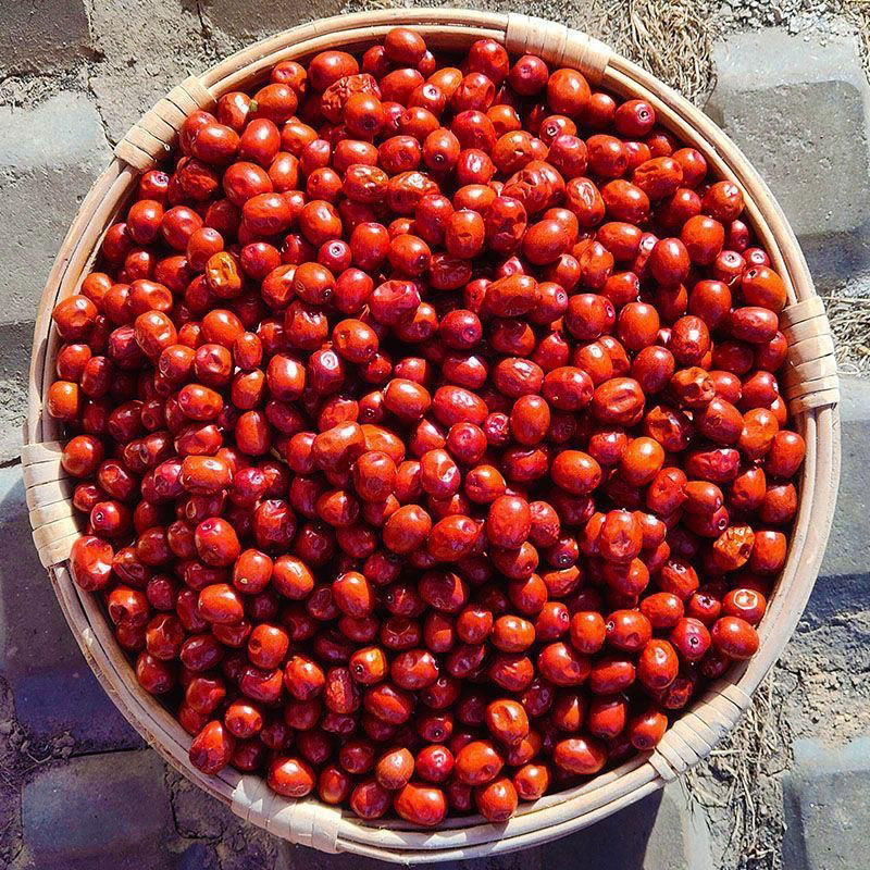 25年正宗特大酸枣新鲜山西当季新山枣休闲零食酸甜老树新酸枣解馋