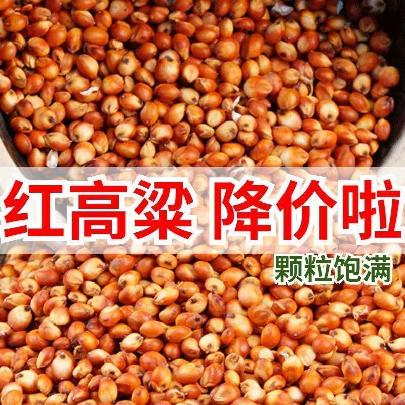 红高粱东北20斤装批发价酿酒10斤未脱皮新高梁5斤喂鸽子饲料