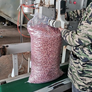 2023年新花生米生大粒花生河南开封沙地花生榨油出油率高100斤袋