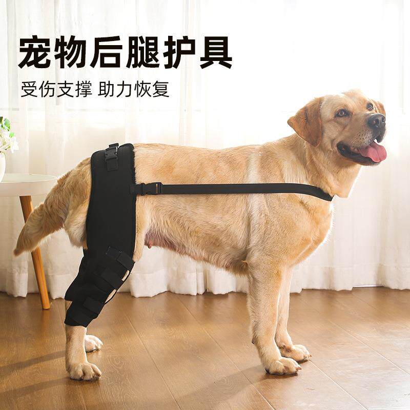 跨境宠物护腿 狗狗护腿护具 宠物关节保护套狗狗护腿护膝护肘腿套