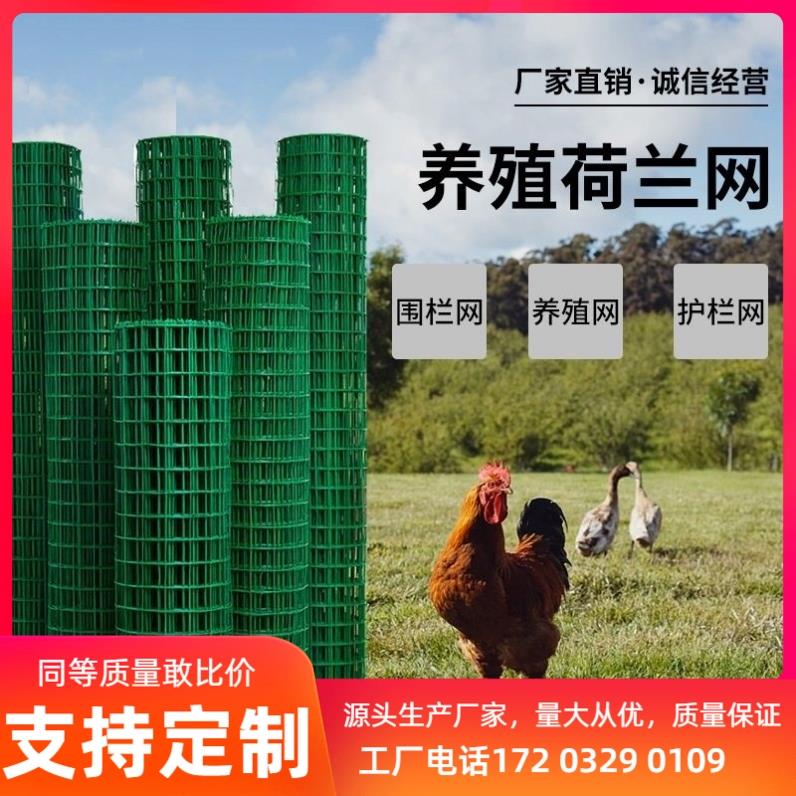 孝邦小孔绿网格包塑电焊网铁丝网围栏养殖网养鸡网荷兰网钢防护网