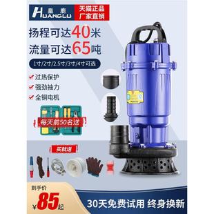 家用单相潜水泵220V高扬程抽水泵大流量小型农用灌溉浇水抽水机