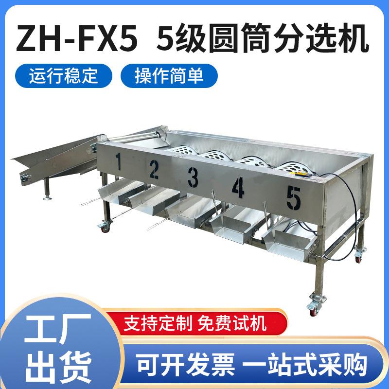 源头工厂自动选果机李子柑桔大小滚筒分级机 小青柑橙子分选机