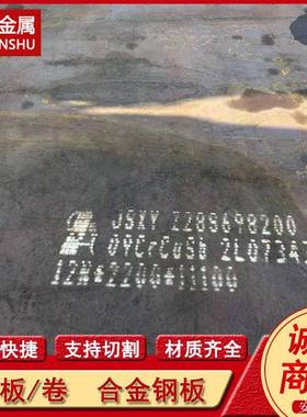 09CrCuSb钢板 SJND-AG Q345NS Q450NH Q550NH耐酸锰钢板 规格全