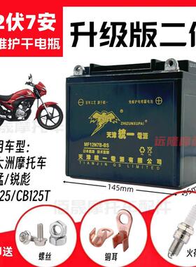 新大洲锐彪CB125锐猛太子男士机车免维护蓄电池12V7A干 干电瓶