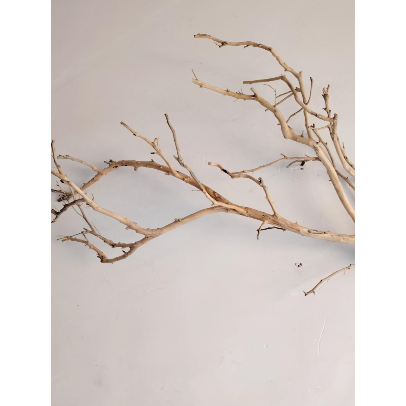 吊灯干枝分枝干树枝装饰树干枯枝室内天花板挂灯插花挂件舞台摆件