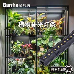 Barrina佰利纳植物补光灯全光谱热植、兰花补光植物生长灯5000k